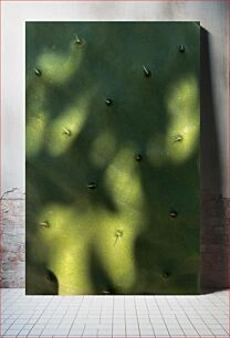 Πίνακας, Close-up of Cactus Surface Κοντινό πλάνο της επιφάνειας του κάκτου