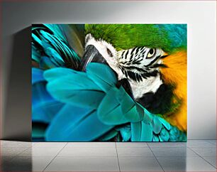 Πίνακας, Close-up of Colorful Parrot Κοντινό πλάνο του πολύχρωμου παπαγάλου