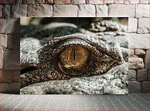 Πίνακας, Close-Up of Crocodile Eye Κοντινό πλάνο του ματιού του κροκόδειλου