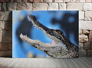 Πίνακας, Close-up of Crocodile Κοντινό πλάνο του Κροκόδειλου