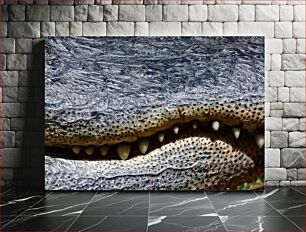 Πίνακας, Close-up of Crocodile Skin and Teeth Κοντινό πλάνο με δέρμα και δόντια κροκοδείλου