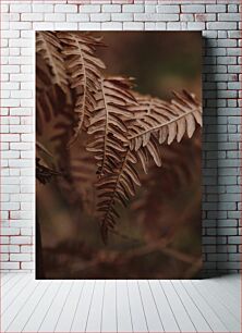 Πίνακας, Close-up of Dry Fern Leaves Κοντινό πλάνο των ξηρών φύλλων φτέρης