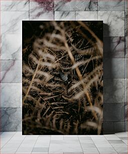 Πίνακας, Close-up of Dry Ferns Κοντινό πλάνο ξηρών φτέρων