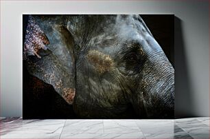 Πίνακας, Close-up of Elephant Κοντινό πλάνο του ελέφαντα