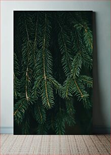 Πίνακας, Close-Up of Evergreen Branches Κοντινό πλάνο αειθαλών κλαδιών
