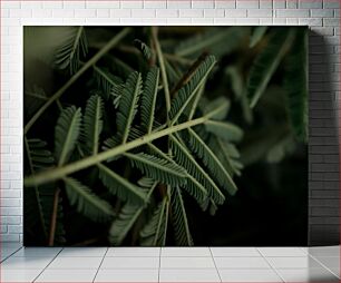 Πίνακας, Close-Up of Fern Leaves Κοντινό πλάνο φύλλων φτέρης