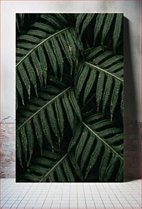 Πίνακας, Close-Up of Fern Leaves Κοντινό πλάνο φύλλων φτέρης