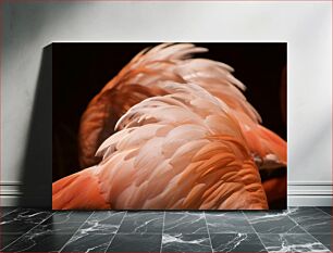 Πίνακας, Close-up of Flamingo Feathers Κοντινό πλάνο φτερών φλαμίνγκο