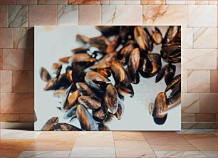 Πίνακας, Close-up of Fresh Mussels Κοντινό πλάνο με φρέσκα μύδια