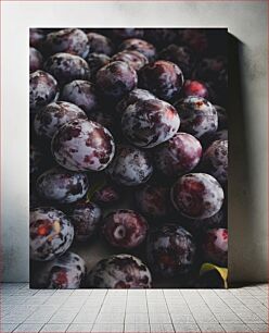 Πίνακας, Close-Up of Fresh Plums Κοντινό πλάνο με φρέσκα δαμάσκηνα