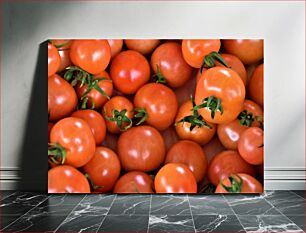 Πίνακας, Close-up of Fresh Tomatoes Κοντινό πλάνο φρέσκων ντοματών