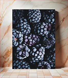 Πίνακας, Close-up of Frozen Blackberries Κοντινό πλάνο κατεψυγμένων βατόμουρων
