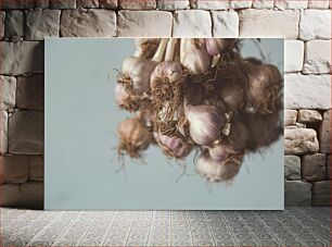 Πίνακας, Close-up of Garlic Bulbs Κοντινό πλάνο βολβών σκόρδου