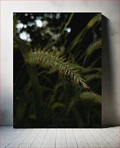 Πίνακας, Close-Up of Grass in Natural Light Κοντινό πλάνο του γρασιδιού σε φυσικό φως