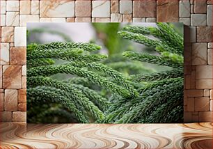 Πίνακας, Close-up of Green Conifer Branches Κοντινό πλάνο πράσινων κωνοφόρων κλάδων