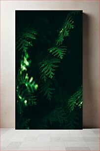 Πίνακας, Close-up of Green Fern Leaves Κοντινό πλάνο πράσινων φύλλων φτέρης