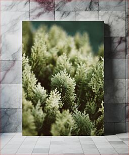 Πίνακας, Close-Up of Green Foliage Κοντινό πλάνο πράσινου φυλλώματος