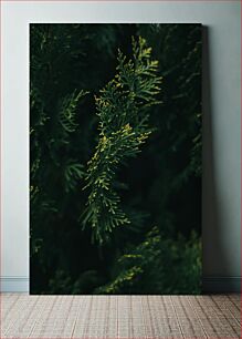 Πίνακας, Close-Up of Green Foliage Κοντινό πλάνο πράσινου φυλλώματος
