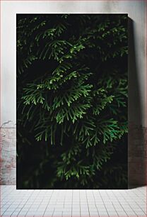 Πίνακας, Close-up of Green Foliage Κοντινό πλάνο πράσινου φυλλώματος