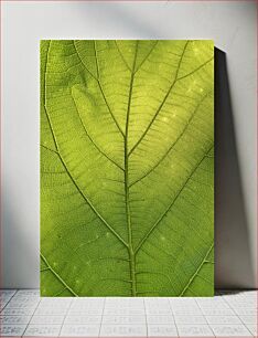 Πίνακας, Close-up of Green Leaf Κοντινό πλάνο του πράσινου φύλλου