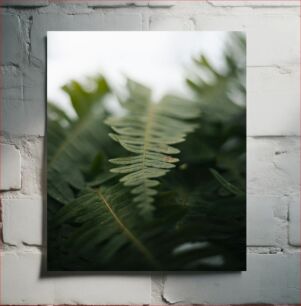 Πίνακας, Close-up of Green Leaves Κοντινό πλάνο με πράσινα φύλλα