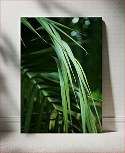 Πίνακας, Close-Up of Green Leaves Κοντινό πλάνο πράσινων φύλλων