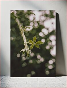 Πίνακας, Close-up of Green Leaves Κοντινό πλάνο με πράσινα φύλλα