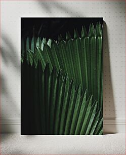 Πίνακας, Close-up of Green Palm Leaves Κοντινό πλάνο των πράσινων φύλλων φοίνικα