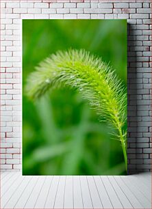 Πίνακας, Close-up of Green Plant Κοντινό πλάνο του πράσινου φυτού