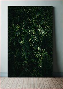 Πίνακας, Close-up of Greenery Κοντινό πλάνο Πρασίνου