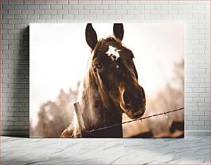 Πίνακας, Close-Up of Horse Behind Fence Κοντινό πλάνο του αλόγου πίσω από τον φράχτη