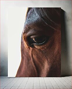 Πίνακας, Close-Up of Horse Eye Κοντινό πλάνο του Horse Eye