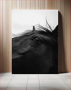 Πίνακας, Close-up of Horse in Black and White Κοντινό πλάνο του αλόγου σε ασπρόμαυρο