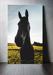 Πίνακας, Close-up of Horse in Pasture Κοντινό πλάνο του αλόγου στο λιβάδι