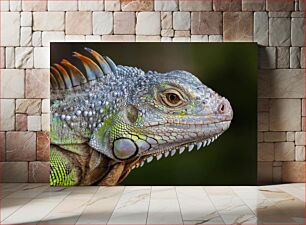 Πίνακας, Close-up of Iguana Κοντινό πλάνο του Iguana