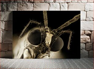 Πίνακας, Close-Up of Insect Κοντινό πλάνο του εντόμου