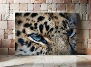 Πίνακας, Close-Up of Leopard's Eyes Κοντινό πλάνο των ματιών της λεοπάρδαλης