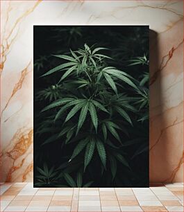 Πίνακας, Close-up of Lush Green Cannabis Leaves Κοντινό πλάνο με πλούσια πράσινα φύλλα κάνναβης