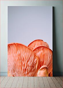 Πίνακας, Close-up of Orange Mushrooms Κοντινό πλάνο πορτοκαλιών μανιταριών