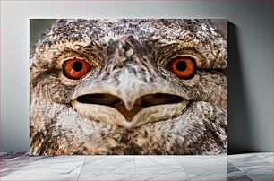 Πίνακας, Close-up of Owl Κοντινό πλάνο της κουκουβάγιας