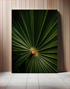 Πίνακας, Close-up of Palm Leaf Κοντινό πλάνο του φύλλου φοίνικα