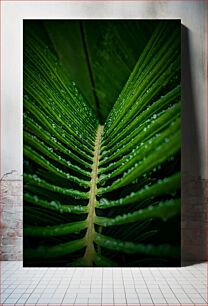 Πίνακας, Close-Up of Palm Leaf with Water Droplets Κοντινό πλάνο φύλλου φοίνικα με σταγόνες νερού