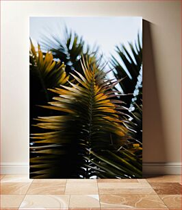 Πίνακας, Close-up of Palm Leaves Κοντινό πλάνο με φύλλα φοίνικα