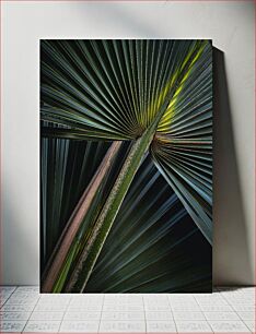 Πίνακας, Close-up of Palm Leaves Κοντινό πλάνο με φύλλα φοίνικα