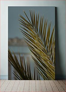 Πίνακας, Close-Up of Palm Leaves Κοντινό πλάνο φύλλων φοίνικα