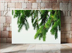 Πίνακας, Close-up of Pine Branches Κοντινό πλάνο με κλαδιά πεύκου