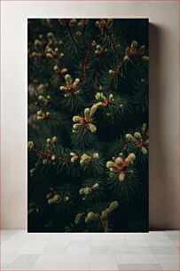 Πίνακας, Close-up of Pine Tree Branches Κοντινό πλάνο κλαδιών πεύκου