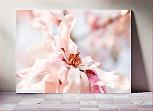 Πίνακας, Close-up of Pink Flower Κοντινό πλάνο του ροζ λουλουδιού