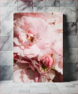 Πίνακας, Close-Up of Pink Flowers Κοντινό πλάνο ροζ λουλουδιών