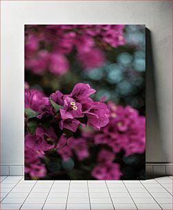 Πίνακας, Close-up of Pink Flowers Κοντινό πλάνο ροζ λουλουδιών